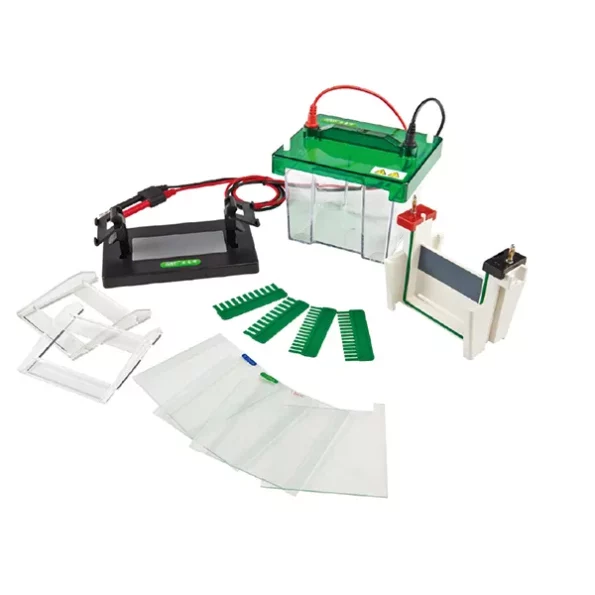 Vertical-Electrophoresis